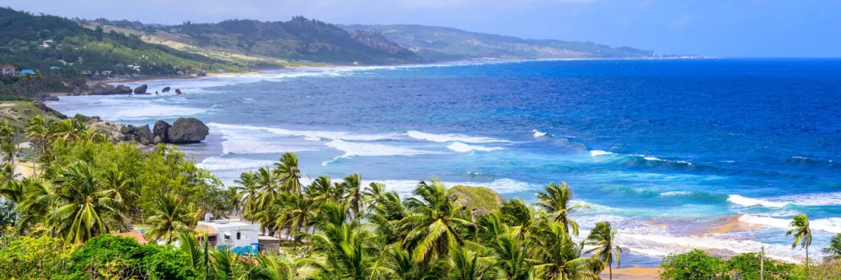 Palmenbestandener Strand auf Barbados in der Karibik. Links das tiefblaue karibische Meer.
