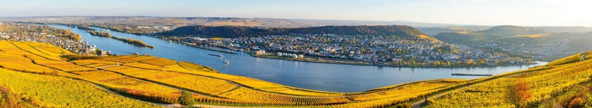 Ein Panorama der Donau im Herbst. Auf einer Seite erstrecken sich Felder, auf der anderen Seite eine idyllische Stadt.