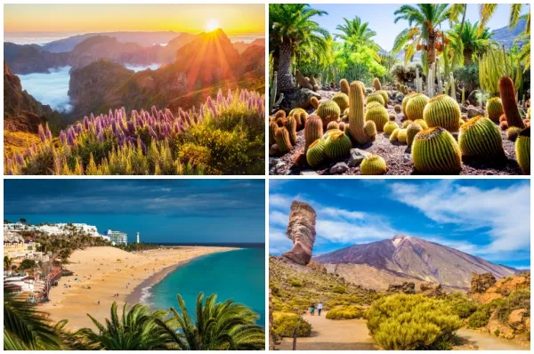 4-teiliges Bild mit Landschaften auf Madeira und die Kanaren