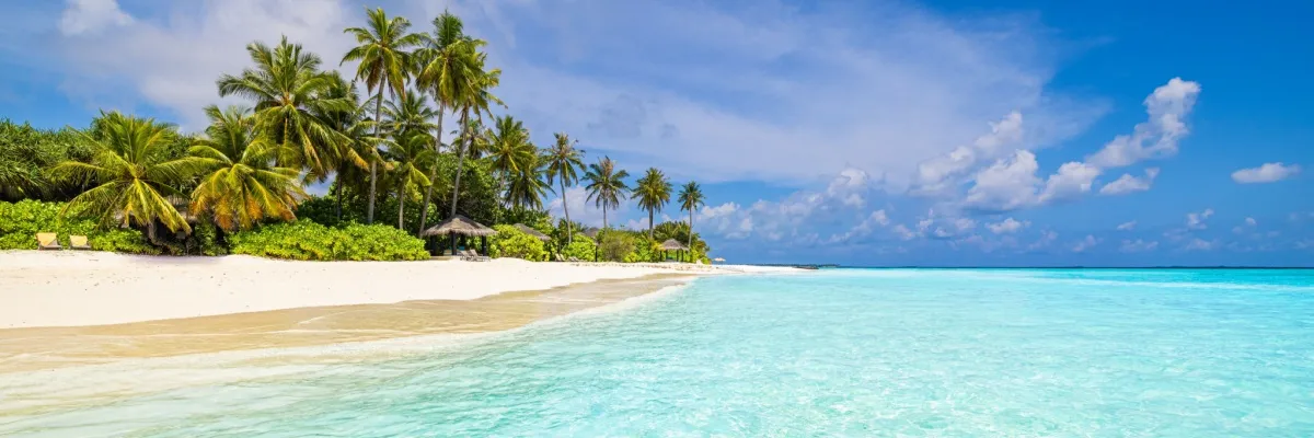 Ein Strand auf Barbados mit Palmen und kristallklarem Wasser.