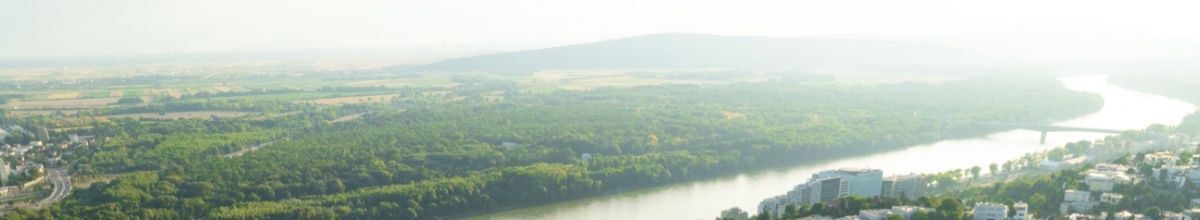 Eine sanfte Biegung in der Donau mit einem satt-grünen Wald direkt am Ufer. Durch Nebel verschwimmt die Landschaft zum Hintergrund.