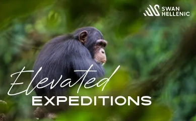 Swan Hellenic Elevated Expeditions 2026 Ein Werbebanner für das Elevated Expeditions Angebot mit einem Affe und dem Logo von Swan Hellenic buchbar bis 31.03.2026
