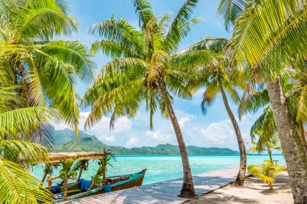Ein karibischer Strand umrahmt von Palmen und einem kleinen Bötchen am Strand.