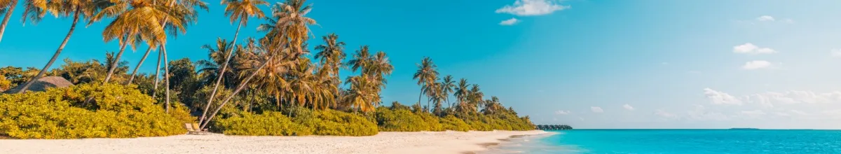 Ein, mit Palmen besetzter, weißer Strand mit klarem Wasser an einem sonnigen Tag - perfekt für eine Disney Kreuzfahrt.