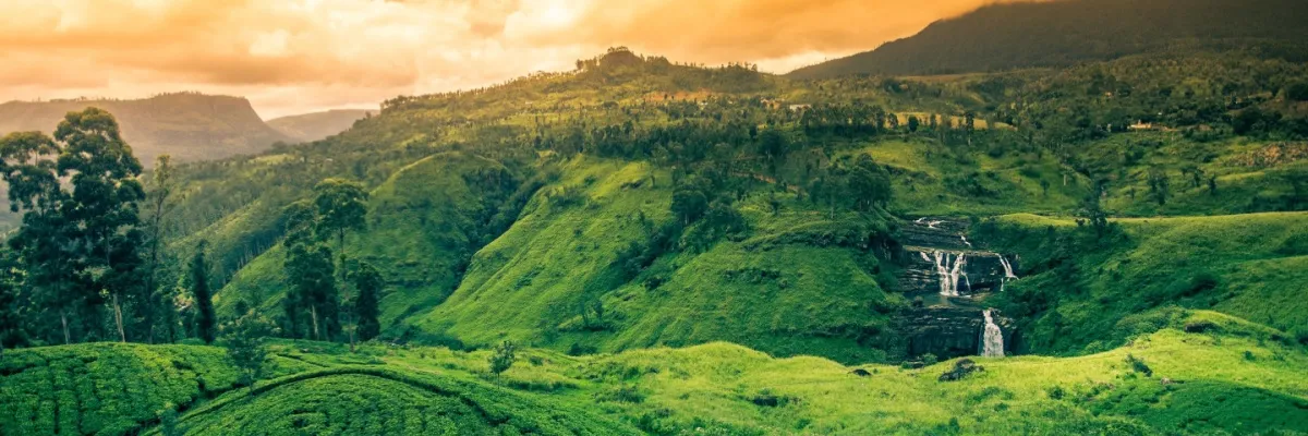 Reiseziele von Crystal Cruises St. Clair