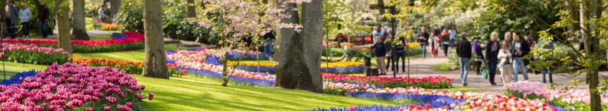 Viele Personen besuchen den Keukenhof in den Niederlanden und schlendern durch die farbenfrohe Kulisse zwischen Tulpenblüten.