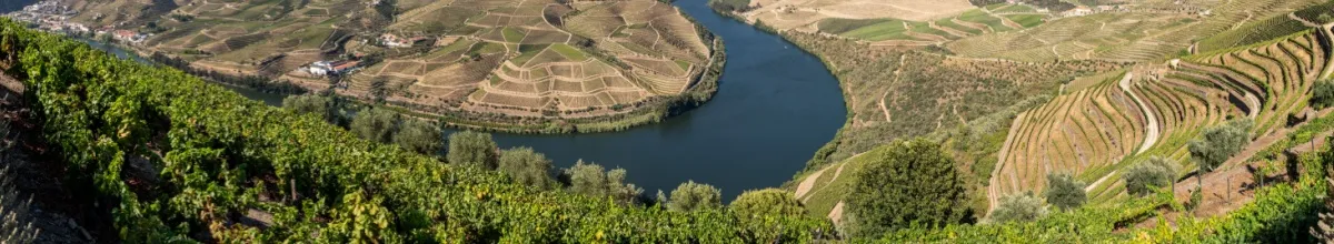 Douro-Kreuzfahrt mit GTA TOURISTIK Der Douro ist ein malerischer Fluss im Herzen Portugals. Er ist von Weinbergen gesäumt und wirkt durch die ockerfarben sehr sommerlich.