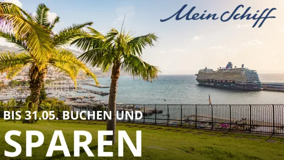 Mein Schiff Kreuzfahrtschiff im Hafen von Funchal, Madeira – Jetzt bis 31.05. buchen und sparen