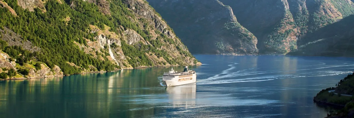 Die MSC Opera in einem norwegischen Fjord bei sommerlichem Wetter und ruhigem Wasser neben bewachsenen Felsen.