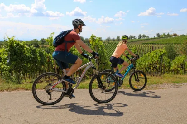 GTA TOURISTIK Fahrradmitnahme Ein Pärchen fährt mit Ihren mitgebrachten Fahrrädern an Weinbergen an der Mosel entlang. Die Fahrräder konnten Sie entspannt mit auf Ihre GTA TOURISTIK Kreuzfahrt mitnehmen.