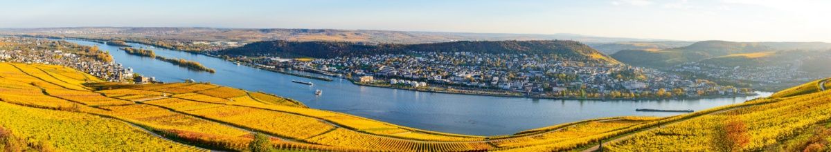 Der Rhein im Herbst. Die Felder am Ufer färben sich orange und eine kleine Stadt liegt auf der gegenüberliegenden Rheinseite.