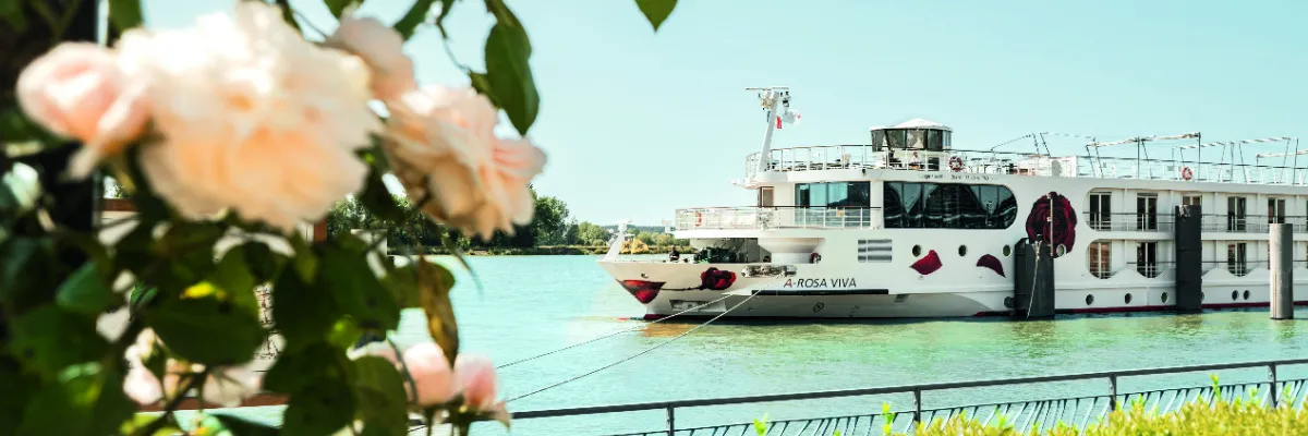 Das weiße Flusskreuzfahrtschiff A-ROSA VIVA fährt an einem sonnigen Tag auf der Seine, während im linken Vordergrund hellrosa Rosen blühen.