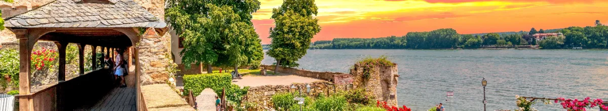 nicko cruises Sommerflussverkauf – Flussromantik am Mittelrhein Romantischer Mittelrhein bei Rüdesheim mit historischem Wehrgang, Rosen und sonnigem Fluss-Panorama beim nicko cruises Sommerflussverkauf.