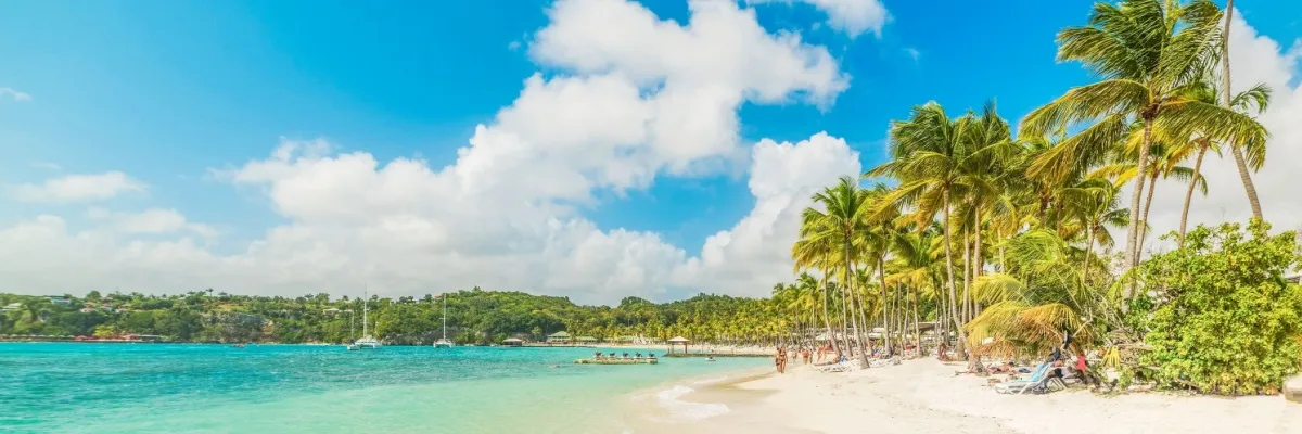 Mit Rabatt in die Karibik Palmenbestandener Strand auf Guadeloupe