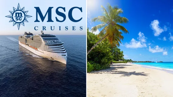 2-teiliges Bild: links Frontansicht von MSC World Europa auf dem Meer mit dem blauen MSC Logo darüber. Rechts: Palmen an einem traumhaften Strand auf Antigua, Kleine Antillen.