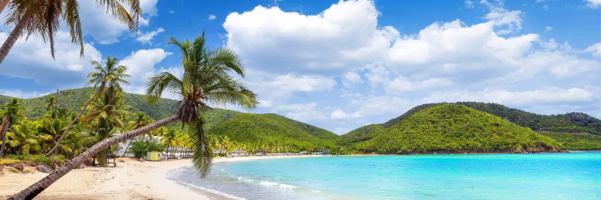 Karibik Costa Kreuzfahrt Winter 2026 2027 Ein weißer, unendlicher Sandstrand auf einer Karibikinsel.