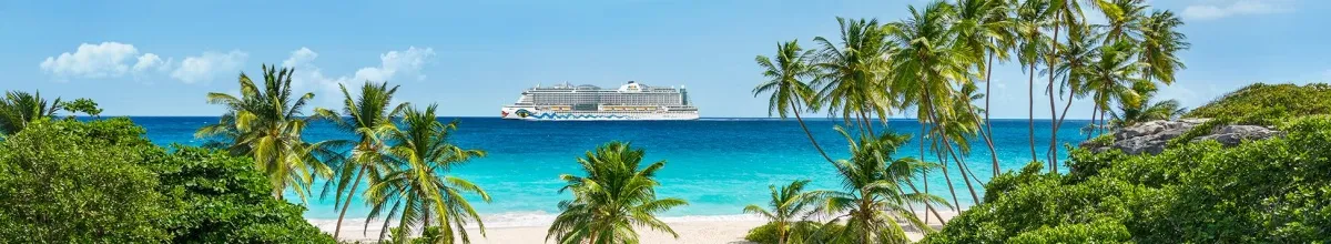 AIDAperla im Meer vor einer grünen KAribik Insel. Im Winter 26/27 können Sie ausgewählte Reisen inkl. Flug im PAUSCHAL Tarif buchen.