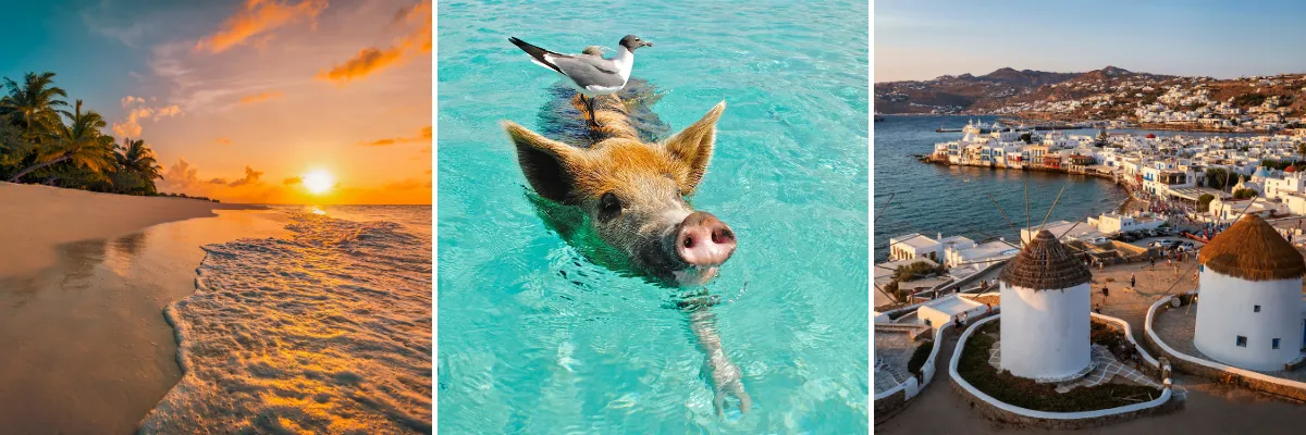 Vielseitige Traumreiseziele: Von friedlichen Karibikstränden über Erlebnisse auf den Bahamas bis hin zu den griechischen Inseln Collage aus drei Reisezielen: Sonnenuntergang an einem tropischen Karibikstrand, ein schwimmendes Schwein im türkisblauen Meer der Bahamas und die ikonischen Windmühlen von Mykonos.