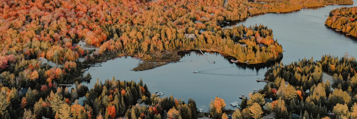 Eine herbstliche Landschaft in Kanada, fotografiert aus der Vogelperspektive.