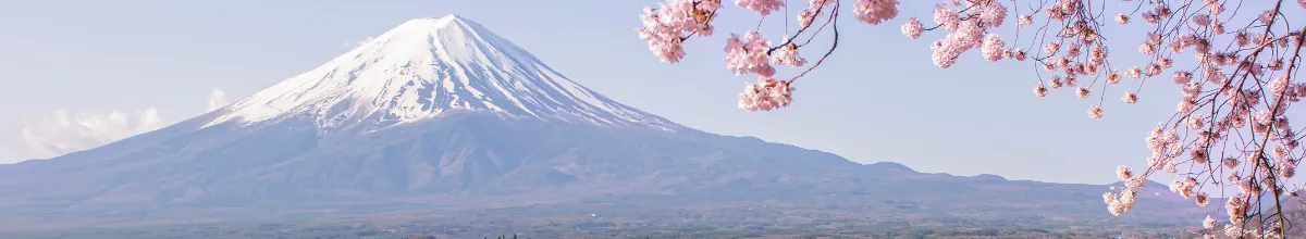 Der Berg Fuji bei Tokio liegt hinter einem See an dem Kirschblütenbäume wachsen und blühen.