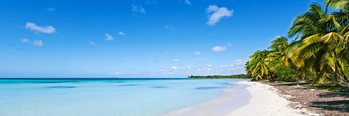 Palmenbestandener Traumstrand auf der Isla Catalina in der Dominikanischen Republik.