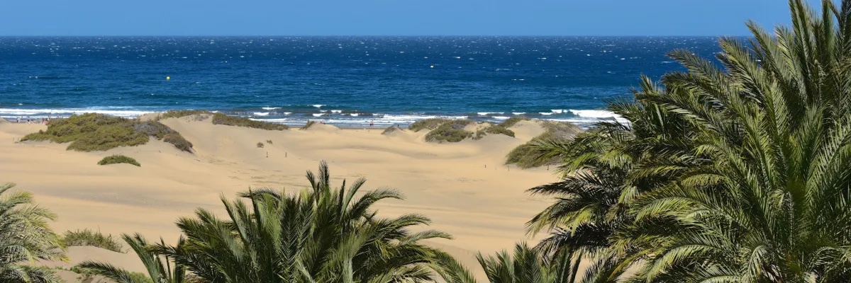 Die Routen von Celebrity Infinity– Gran Canaria Blick über ein Strand auf Gran Canaria mit tiefblauen Wasser, goldenem Sand und Palmen.