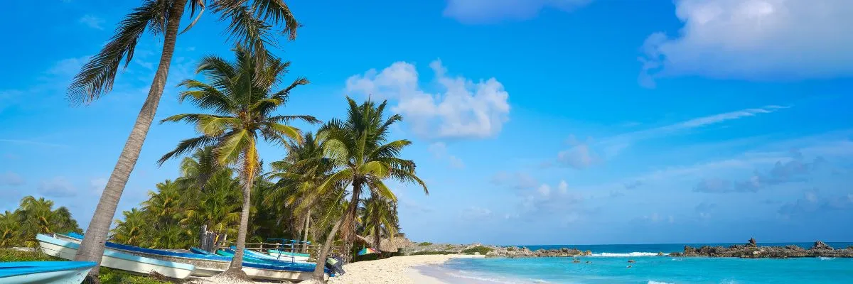 Blick über ein Traumziel auf Celebrity Reflection – Cozumel. Links sind Palmen zu sehen, rechts sind der blaue Himmel und der Ozean.