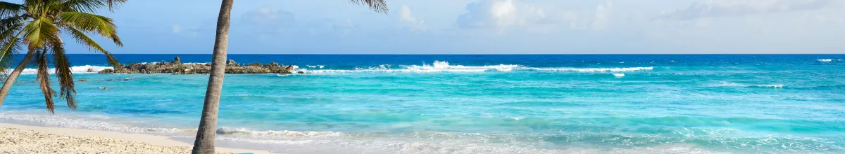 Blick über ein Strand auf Cozumel – mit Palmen, goldenem Sand und kristallklarem Wasser.