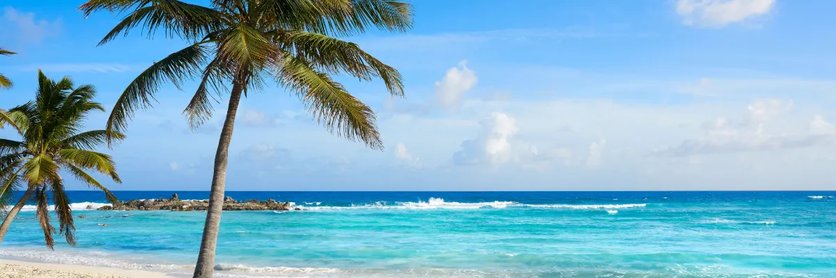 Die Traumrouten entdecken Ein Strand auf Cozumel mit Palmen und türkisblauem Wasser und goldenem Sand.
