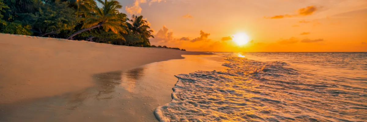 Karibik Costa Frübucher 2027 2028 Ein Sonnenuntergang an einem karibischen Strand mit sanften Wellen einem Wald aus Palmen.
