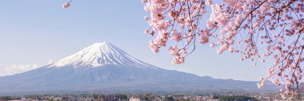 Asienkreuzfahrt nach Japan Der Berg Fuji in der Ferne und Kirschblüten ragen ins Bild.