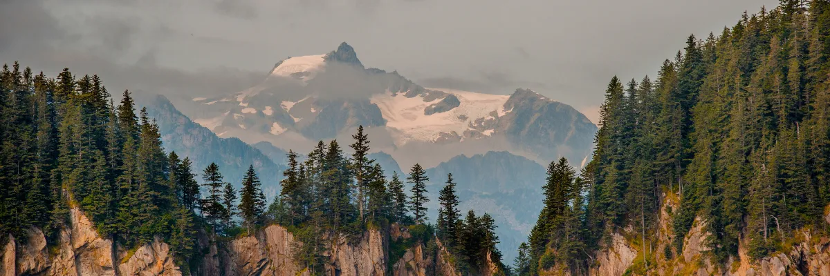 Landschaft von Prince William Sound. Beeindruckende Berge ragen hinter Nadelwäldern empor.