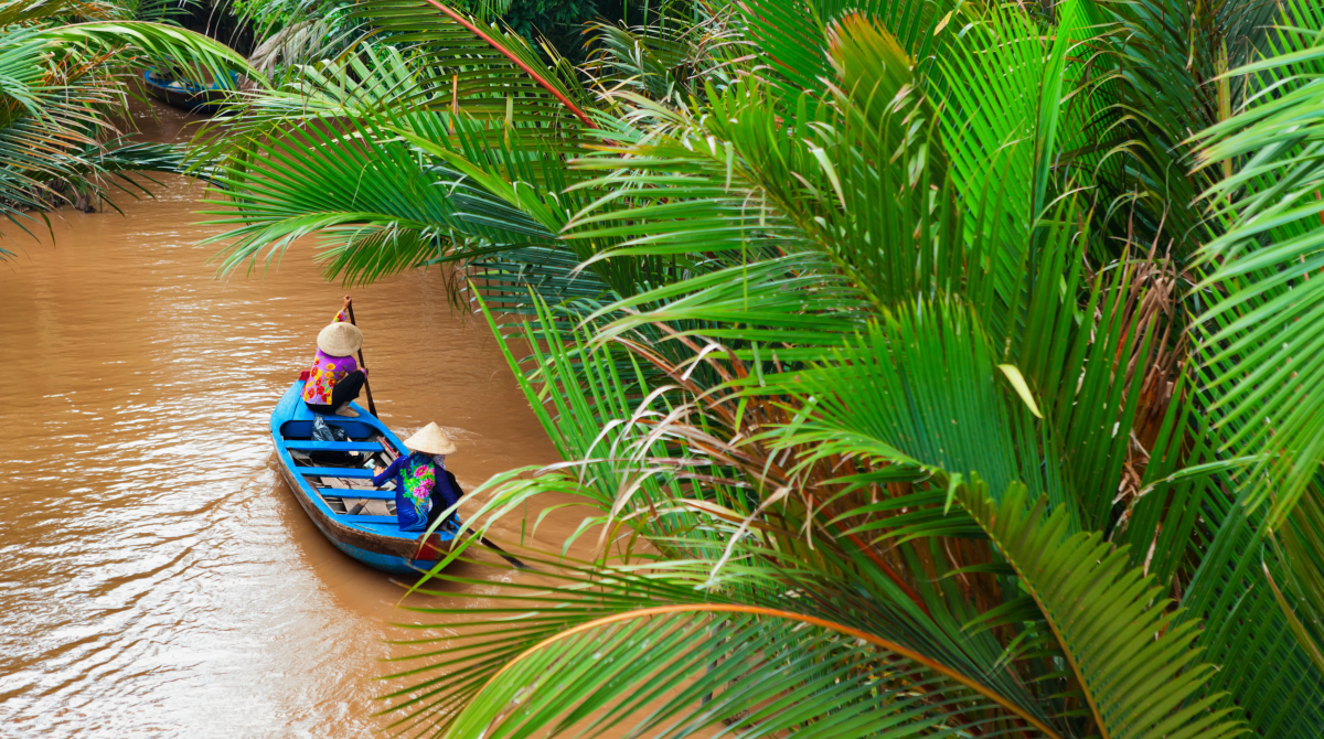 Eine alte Frau mit Hut paddelt auf einem Boot entlang des Mekong und seinem grünen Ufer.