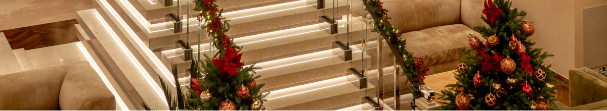 Eine Nahaufnahme einer Treppe, die von zwei Weihnachtsbäumen umstellt ist.