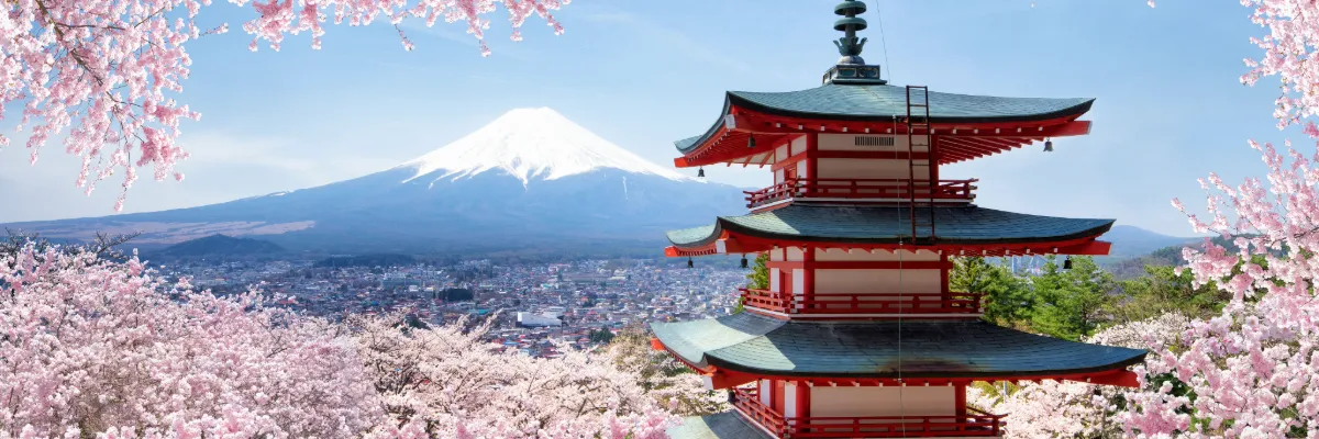 Neue Reisen in Asien erleben Ein Meer aus rosafarben Sakura-Blüten und ein typischer Gebäude: Japan in Frühling