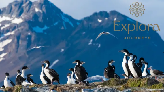 Ushuaia in Argentinien: majestätische schneebedeckte Berge und Tiere.