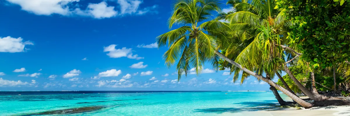 Die Karibik mit Azamara entdecken Ein traumhafter karibischer Strand mit Palmen, weißem Sand und türkisblauem Meer.