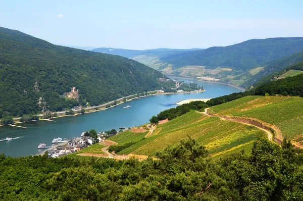 Flusskreuzfahrt im Sommer Flusskreuzfahrtschiff auf dem Rhein zwischen Weinbergen an einem sonnigen Sommertag.
