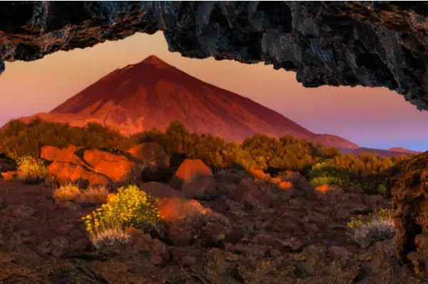 Siam Park, Loro Park und Teide