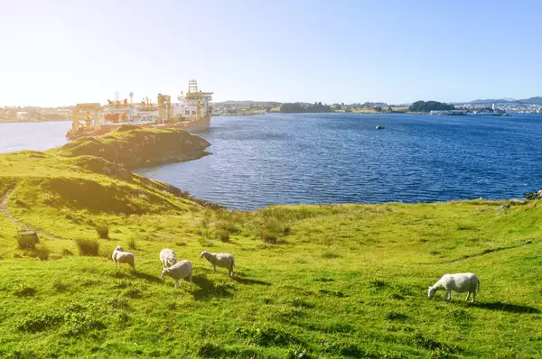 Haugesund: Landausflüge