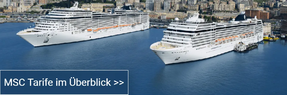 Link zum Artikel über die Erlebniswelten von MSC