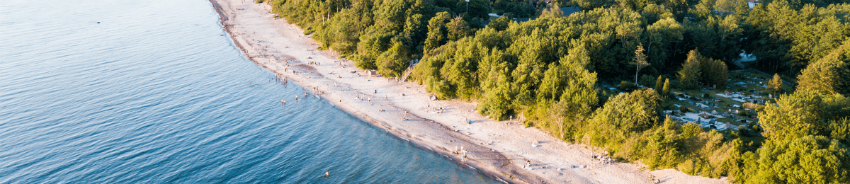 Die Küste von Klaipeda mit sanftem Wasser, einem Strand und einem Wald.