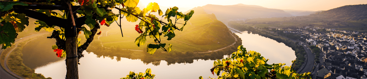Entdecken Sie bei einer Flusskreuzfahrt entlang der Mosel zauberhafte Destinationen.