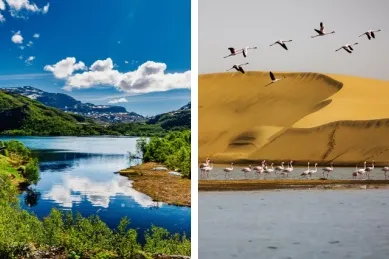 2-teiliges Bild: Links Malerische Landschaft mit vielen Bäumen im Hardangerfjord. Rechts Flamingos fliegen über eine Düne an der Lagune von Walvis Bay, Namibia.