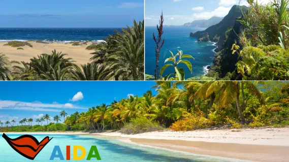AIDA Verlockung der Woche: Gran Canaria, Madeira & Karibik 3-teiliges Bild: Oben links ein Strand auf Gran Canaria, oben rechts Blick auf Madeira aus Vogelperspektive, unten ein Strand in die Karibik mit kristallklarem Wasser und Palmen.