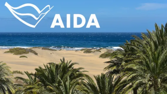 Blick auf ein Strand in Gran Canaria mit kristallklarem Wasser und Palmen.