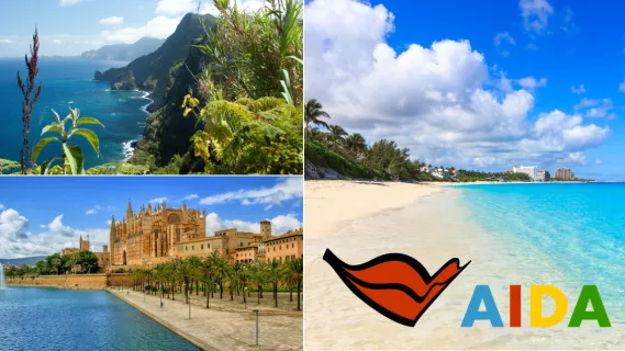 AIDA Verlockung der Woche: Madeira, Palma und Karibik 3-teiliges Bild: oben links die Blumeninsel Madeira aus Vogelperspektive, unten links die Kathedrale in Palma, rechts ein Strand auf die Karibik mit kristallklarem Wasser.