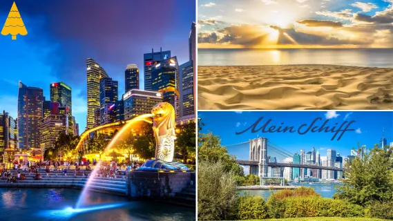 3-teiliges Bild: Links Merlion-Brunnen in Singapur bei Nacht mit Grafik eines Tannenbaums in der linken oberen Ecke. Rechts oben Sonnenuntergang über den Dünen von Maspalomas,Gran Canaria. Rechts unten Bäume und Sträucher vor der Brooklyn Bridge, New York