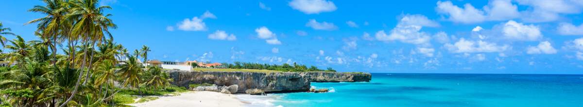Weißer Sandstrand mit Palmen vor dem azurblauen Meer von Barbados.
