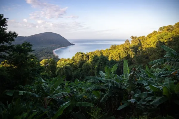 Die üppigen Berge in Guadeloupe mit Aussicht auf das Meer.